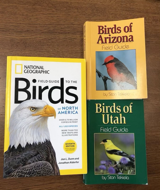 北米鳥の本.jpg